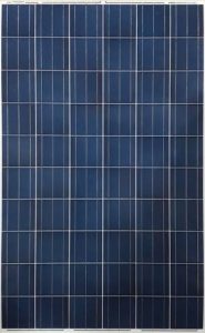 Solar Panel TRINA TSM-240PC05